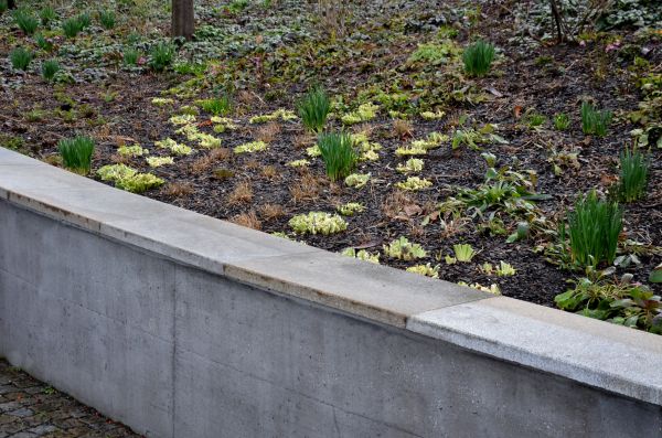 Concrete Wall Construction in Yucaipa