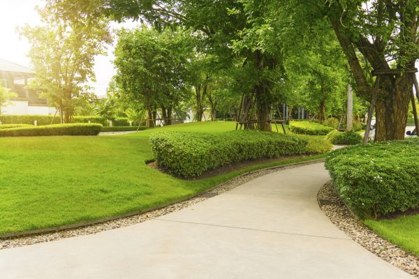 Walkway Concrete Installation in Yucaipa
