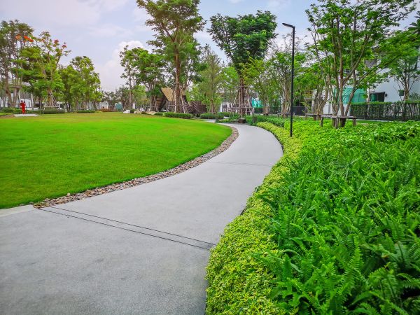 Cement Walkway Service in Yucaipa