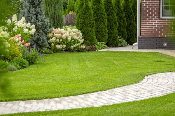 Landscape Walkway Installation in Yucaipa